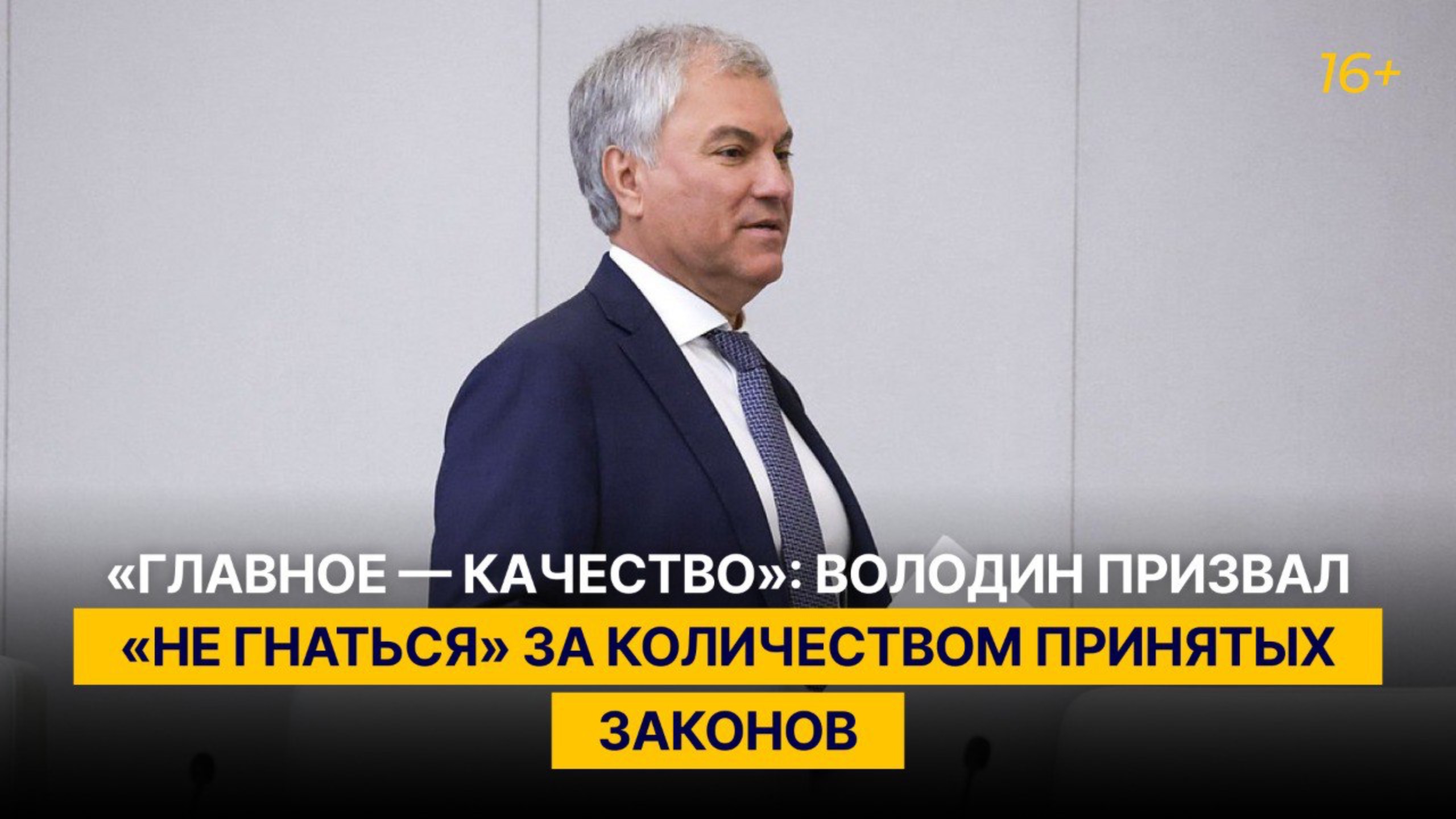 «Главное — качество»: Володин призвал «не гнаться» за количеством принятых законов