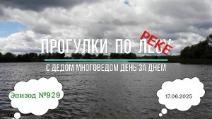 Прогулки по реке. День за днем с дедом Многоведом. 17 июня 2025г. Эпизод 929.