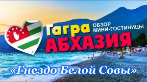 ГДЕ ОТДОХНУТЬ В ГАГРАХ АБХАЗИЯ _ ГАГРА _ обзор мини-гостиницы «Гнездо Белой Совы»