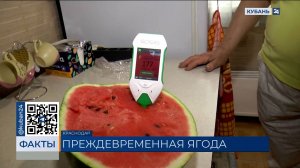 Роспотребнадзор предупредил жителей Кубани об опасности ранних арбузов