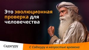 Это эволюционный тест для человечества