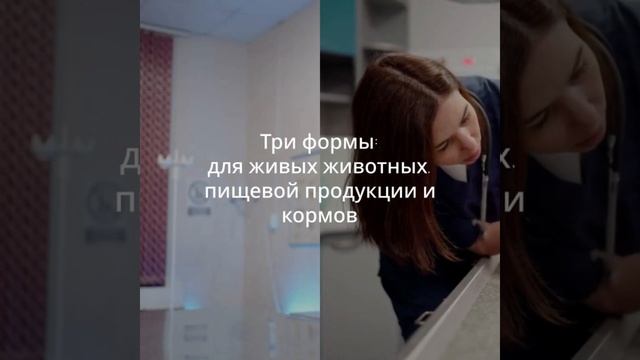 Сертификация в ЕАЭС — изменения с июля 2025 — Sertex.org