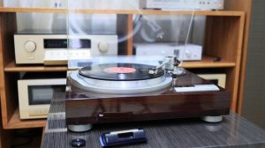 VICTOR QL-Y55F