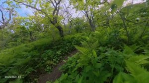 ВЛАДИВОСТОК ОСТРОВ РУССКИЙ МЫС ТОБИЗИНА, СЪЁМКА Insta360