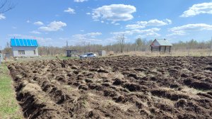 Вспашка участка // первые посевы и всходы // клубника перезимовала