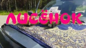 ЛИСЁНОК  ЧАСТЬ 2