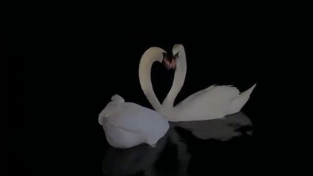 💖Встреча двух половинок одной души💖ПРЕМЬЕРА💕 Песня на #мои_стихи. Слова и видео Брониты Донской