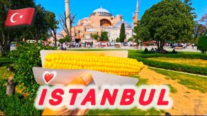 🇹🇷 КУДА МЕНЯ ЗАНЕСЛО ⁉️ HOTEL TULIP HOUSE 3* Istanbul / Стамбул / Площадь Султанахмет / Айа София