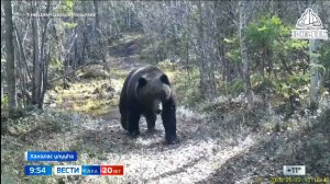 09:30 ВЕСТИ САХА 18/06/25 НА ЯКУТСКОМ ЯЗЫКЕ