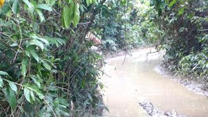 Enduro Cambodia 15.05.2015