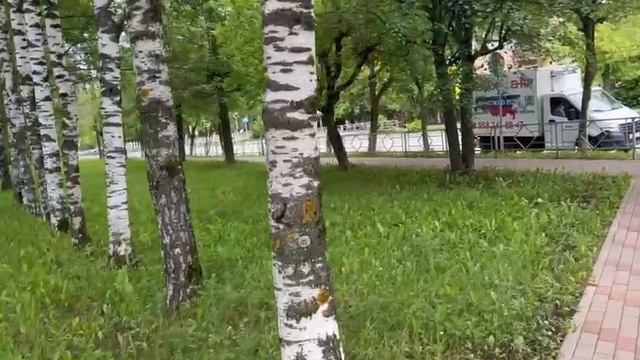 gorodskaya suyeta Релакс-прогулки спокойный ритм жизни большого города