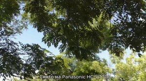 Зарисовка. Panasonic HC-V770