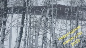 Новогодние каникулы 2022