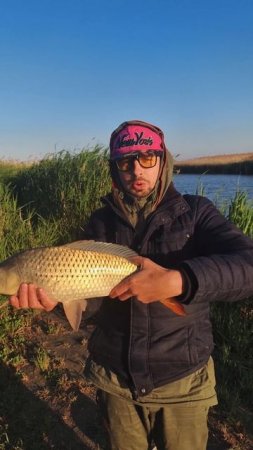 Рыбалка на Маныче. Ловим сазана