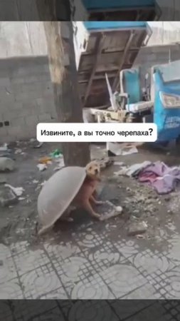 кто это