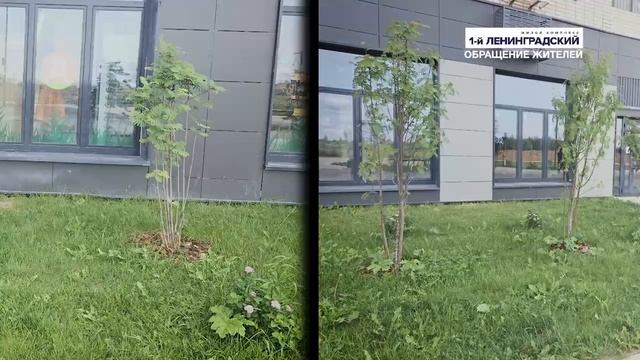 Обращение жителей Молжаниновского района в Следственный комитет