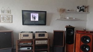 Accuphase A-50V & Visaton Monitor 890