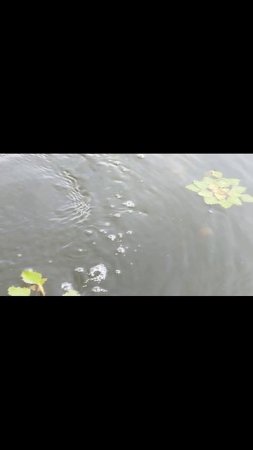 прогулка по озеру Казарь