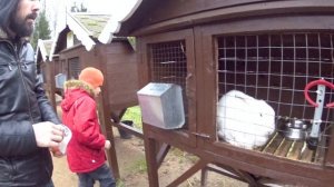 Зубровник возле Токсово / Контактный зоопарк / Тёма на лошади