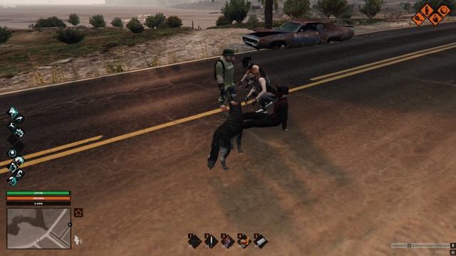 Везучий бибизян