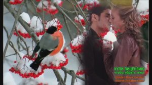 ЗОЛОТЫЕ ХИТЫ.ТРОФИМ -ЗА ОКОШКОМ СНЕГИРИ...