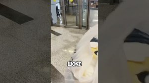 Меня не впустили в самолёт ✈️ из-за котикаВаше мнение? Это норм?