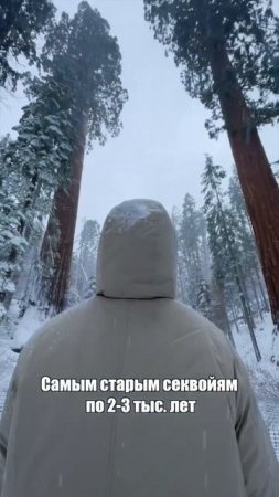 Это просто невероятно