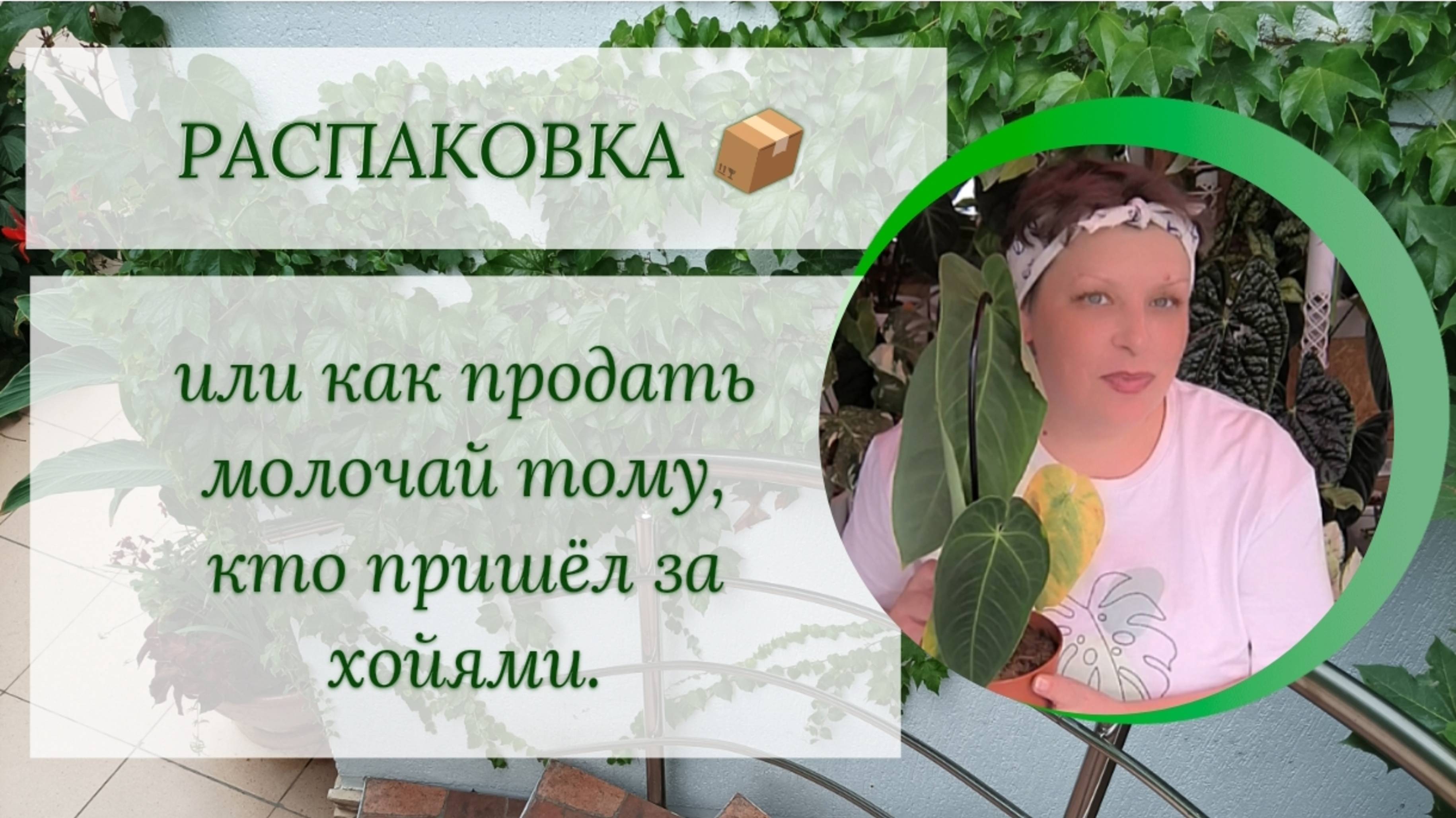 РАСПАКОВКА 📦, или как продать молочай тому, кто пришёл за хойями.