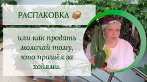 РАСПАКОВКА 📦, или как продать молочай тому, кто пришёл за хойями.