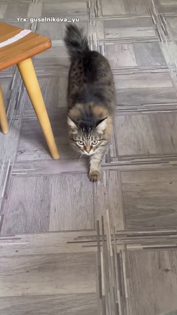 как я вам маленькая? #влог #побегизшколы #школа #учитель #vlog #взрослаяпедагогика #обзор смотреть онлайн