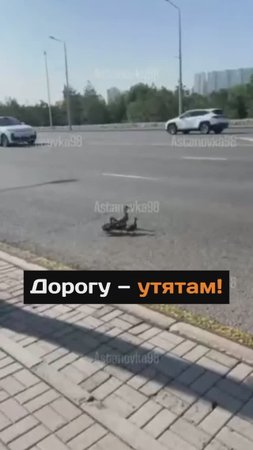 Удивительное сегодня
