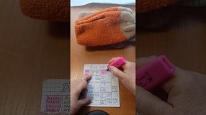 СП Бинго 2025. Весенний отчёт.