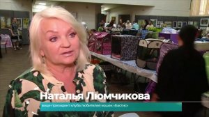 (17.06.2025) Выставка усатых-полосатых состоялась в музее изобразительных искусств