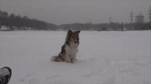 Лета 28.01.2020 в заливе