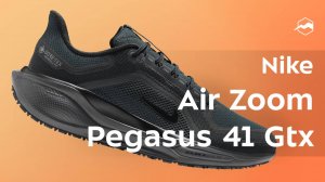 Кроссовки Nike Air Zoom Pegasus 41 Gtx