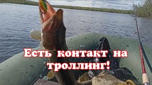 Есть контакт на троллинг!
