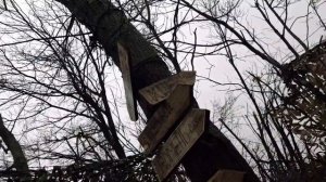 Уникальные кадры из жизни казаков на передовой