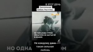 Трогательная любовь 💘