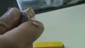 Как установить многослойную наклейку на кий на примере Kamui ss