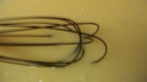 Чихиртма из курицы