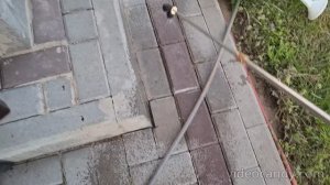 Эффективное не дорогое средство против муравьев.