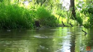 Ефрем Сирин О терпении и сокрушении слово поучительное часть 3