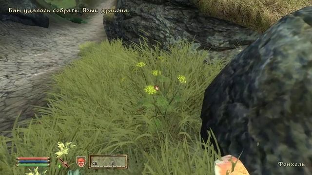 The Elder Scrolls IV (МС) часть 7