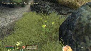 The Elder Scrolls IV (МС) часть 7