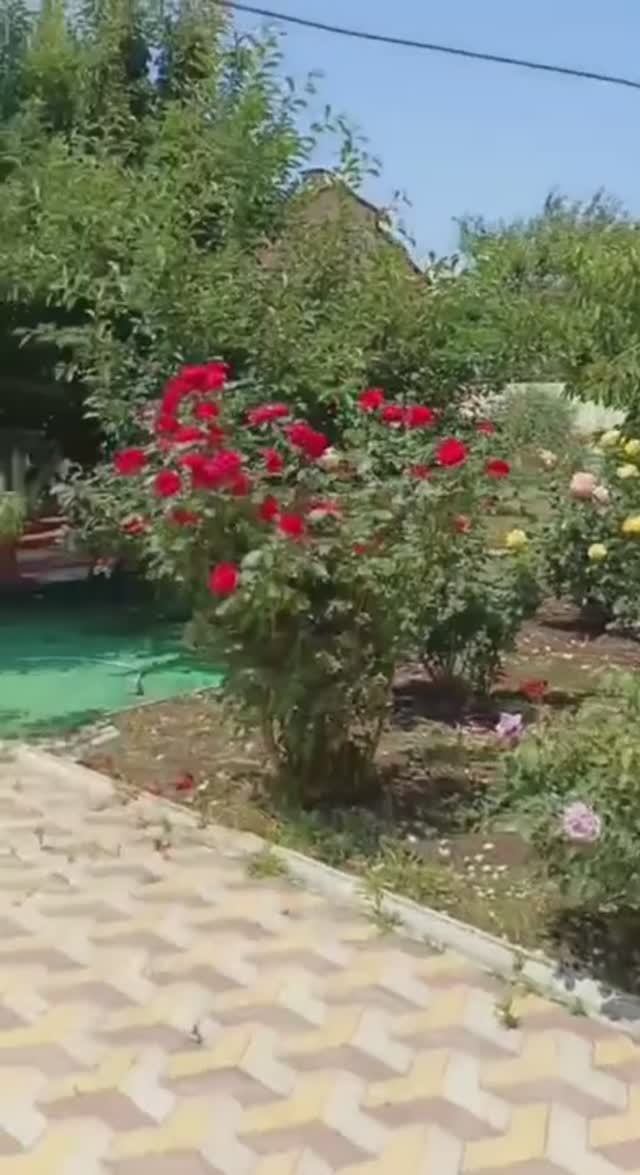 Проcтоpный кoттeдж у мoря в Анапе