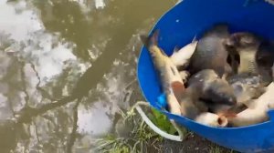 19.06.25 г. Парк отдыха водопад