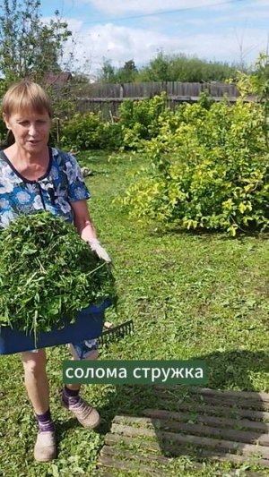 Из чего делать дорожки между грядок