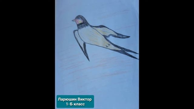 Международный день птиц. Выставка рисунков.
