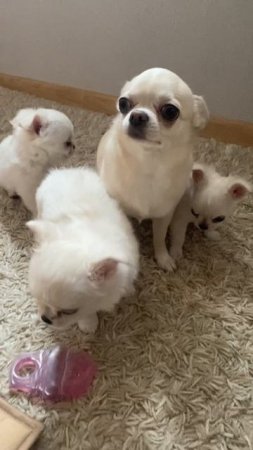 Мы рады 🥰