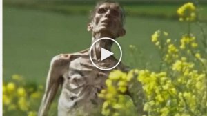 28 лет спустя (2025) / онлайн бесплатно